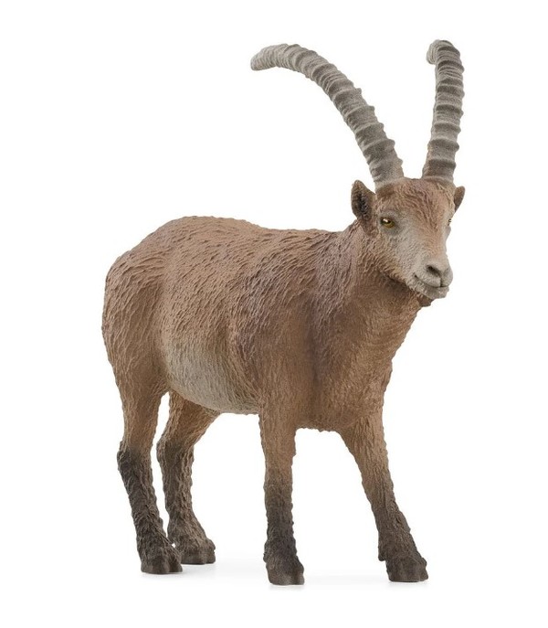 Schleich Ibex 14873