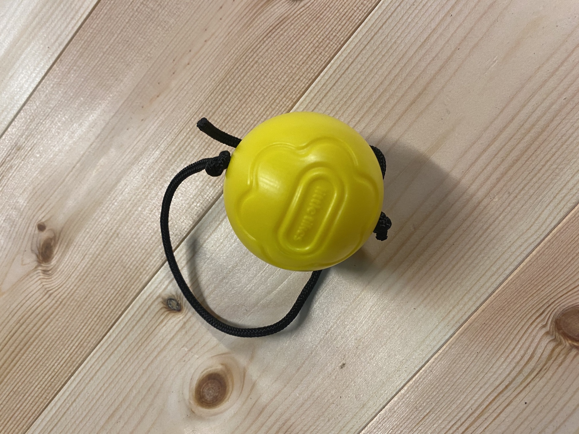 Ball With String Image
