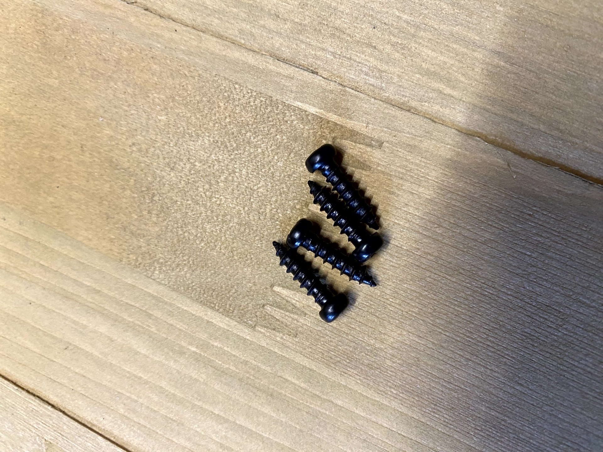 Screw M2 x 4 Image