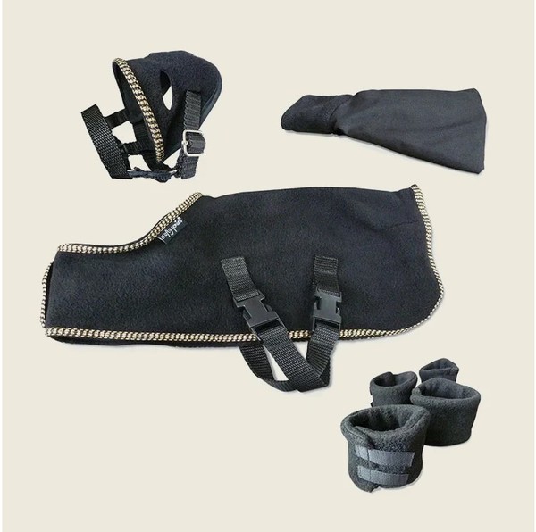 Crafty Ponies Show Rug Set Black and Gold